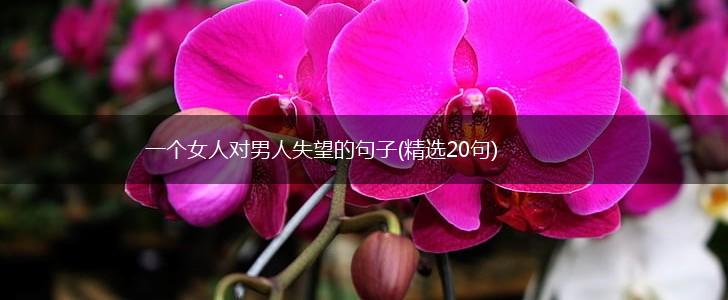 一个女人对男人失望的句子(精选20句),第1张