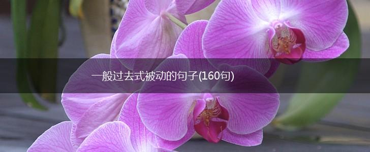 一般过去式被动的句子(160句),第1张