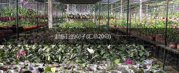 一起旅行的句子(汇总20句),第1张