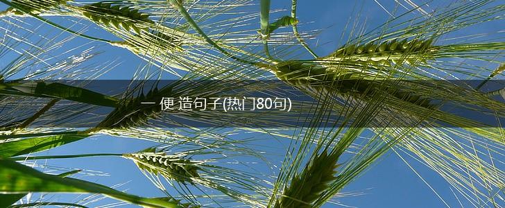 一 便 造句子(热门80句),第1张