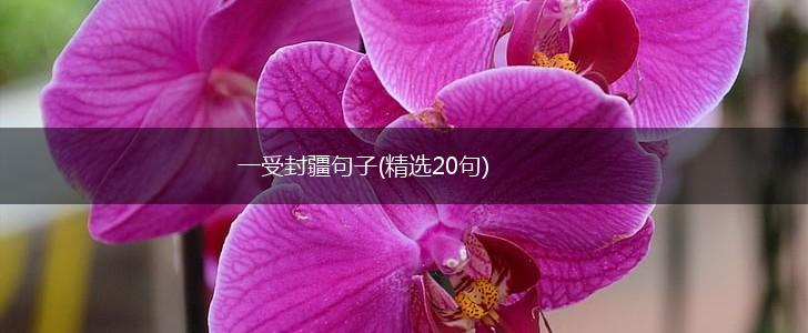 一受封疆句子(精选20句),第1张
