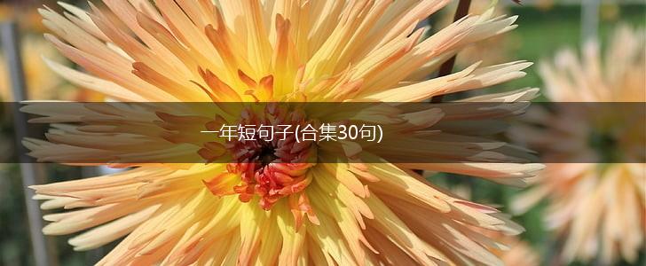 一年短句子(合集30句),第1张