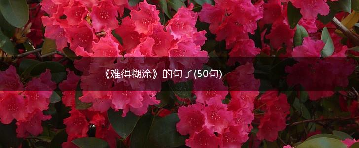 《难得糊涂》的句子(50句),第1张