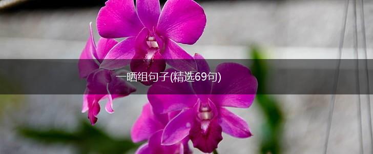 一晒组句子(精选69句),第1张