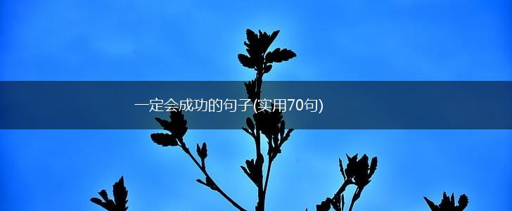 一定会成功的句子(实用70句),第1张