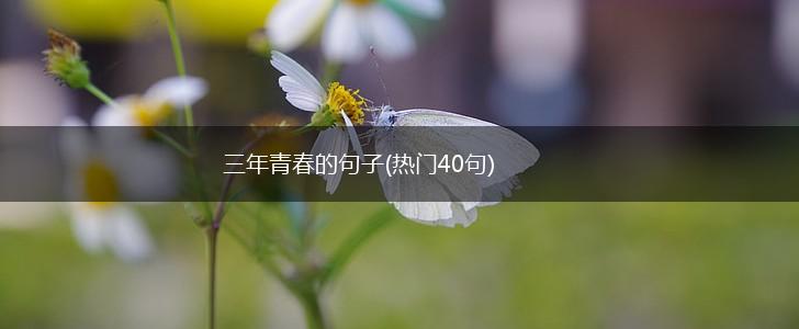 三年青春的句子(热门40句),第1张
