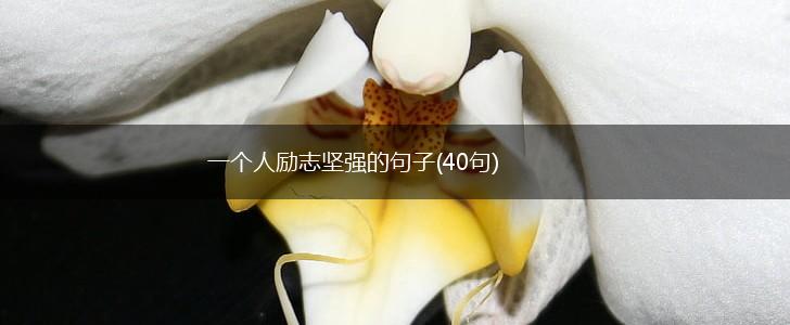 一个人励志坚强的句子(40句),第1张