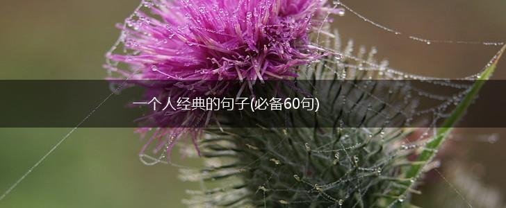 一个人经典的句子(必备60句),第1张