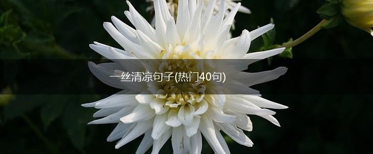 一丝清凉句子(热门40句),第1张