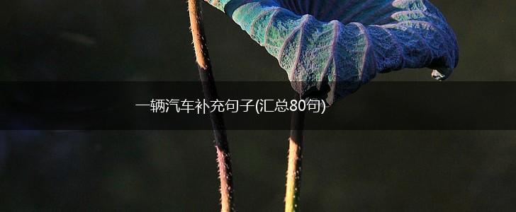一辆汽车补充句子(汇总80句),第1张