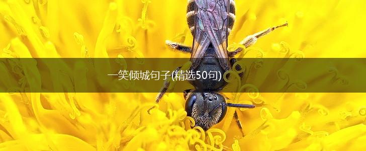 一笑倾城句子(精选50句),第1张