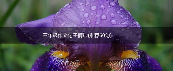 三年级作文句子摘抄(推荐60句),第1张