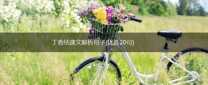 丁香结课文解析句子(优选20句),第1张