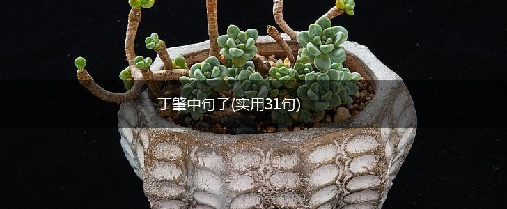 丁肇中句子(实用31句),第1张