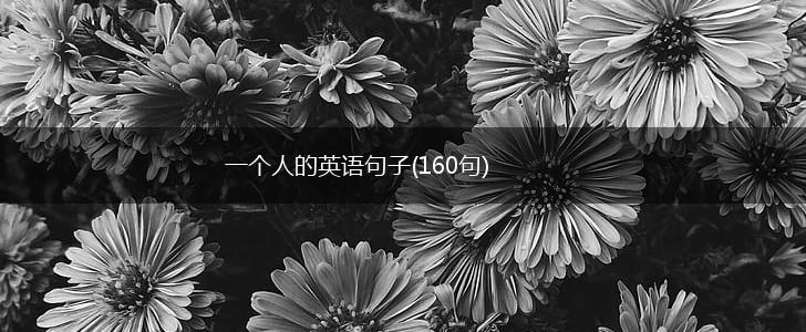 一个人的英语句子(160句),第1张