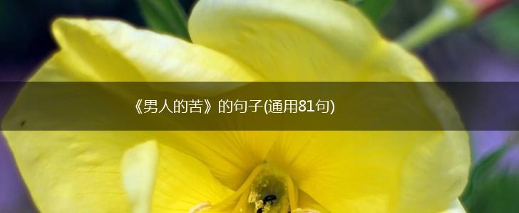 《男人的苦》的句子(通用81句),第1张