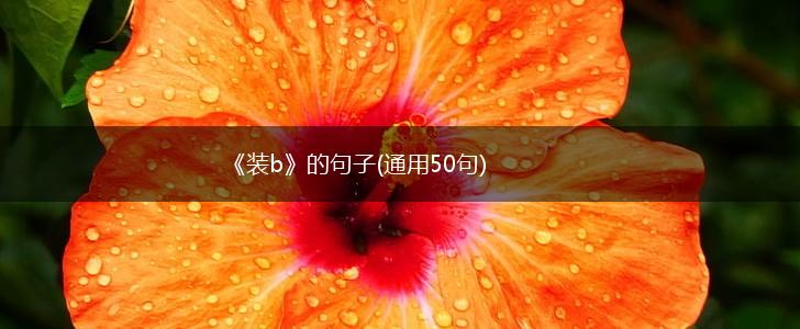 《装b》的句子(通用50句),第1张