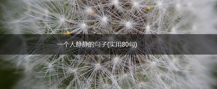一个人静静的句子(实用80句),第1张