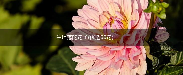 一生坦荡的句子(优选60句),第1张
