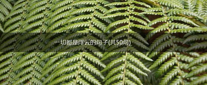 一切都是浮云的句子(共50句),第1张