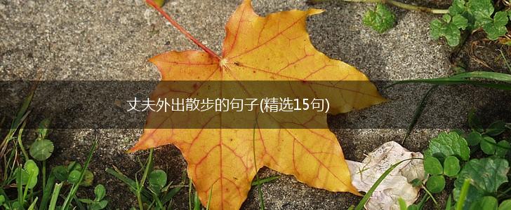 丈夫外出散步的句子(精选15句),第1张