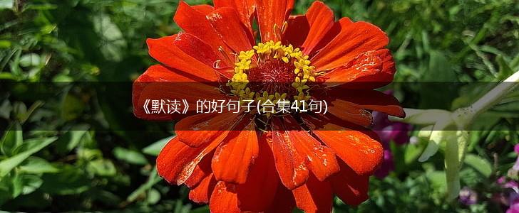 《默读》的好句子(合集41句),第1张