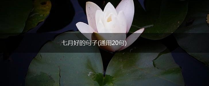 七月好的句子(通用20句),第1张