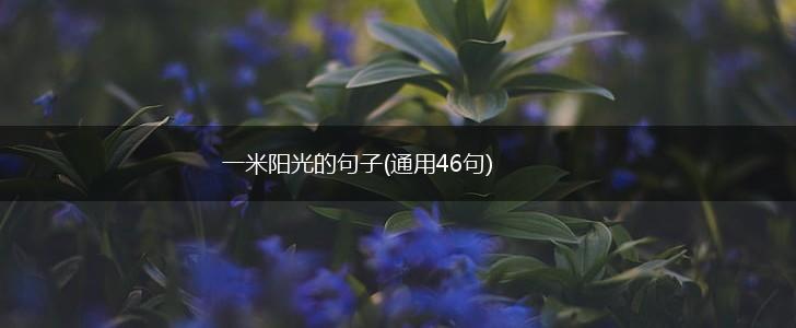 一米阳光的句子(通用46句),第1张