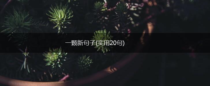 一颗新句子(实用20句),第1张