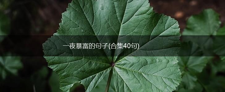 一夜暴富的句子(合集40句),第1张