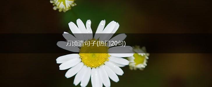 万顷造句子(热门20句),第1张