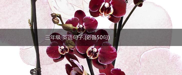 三年级 英语句子.(必备50句),第1张