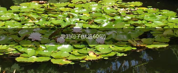 一串泪句子(优选60句),第1张