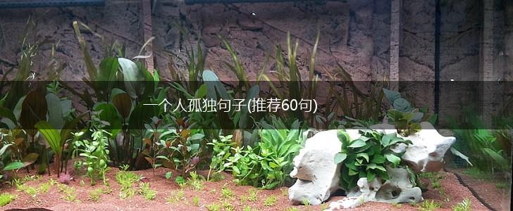 一个人孤独句子(推荐60句),第1张