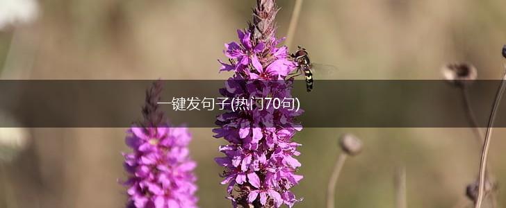 一键发句子(热门70句),第1张