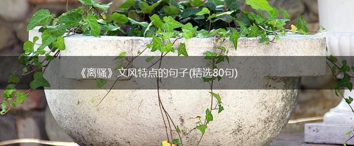 《离骚》文风特点的句子(精选80句),第1张