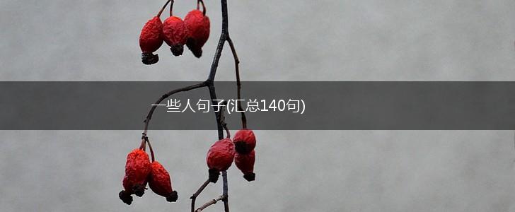 一些人句子(汇总140句),第1张