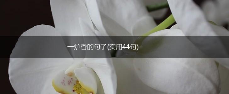 一炉香的句子(实用44句),第1张