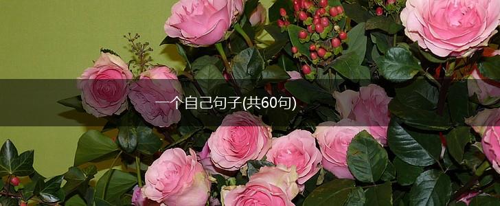 一个自己句子(共60句),第1张