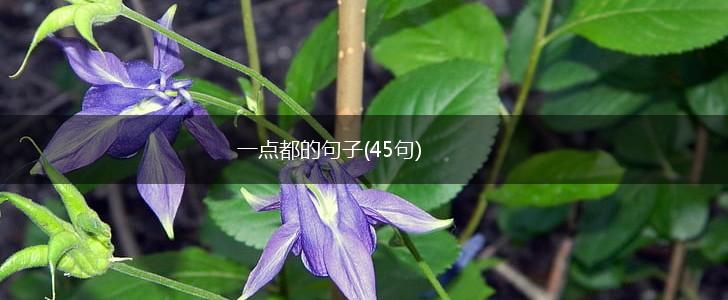 一点都的句子(45句),第1张