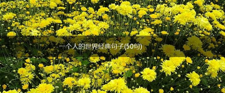 一个人的世界经典句子(50句),第1张