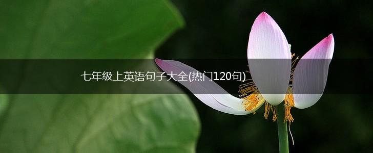 七年级上英语句子大全(热门120句),第1张