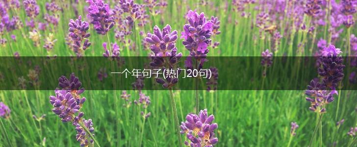 一个年句子(热门20句),第1张