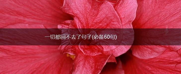 一切都回不去了句子(必备60句),第1张
