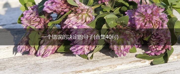一个错误的决定的句子(合集40句),第1张
