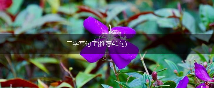 三字写句子(推荐41句),第1张