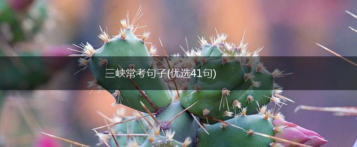 三峡常考句子(优选41句),第1张