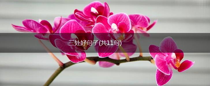 三处好句子(共11句),第1张