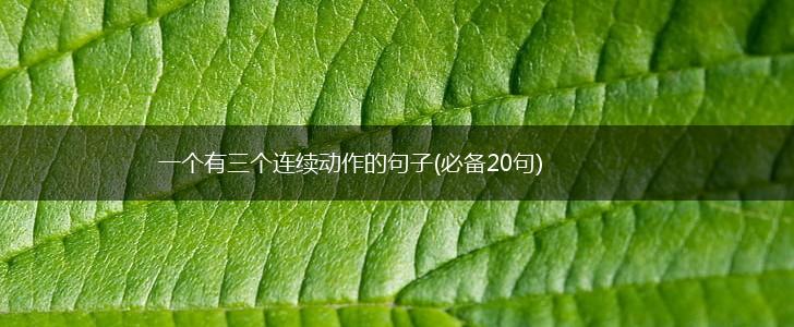 一个有三个连续动作的句子(必备20句),第1张