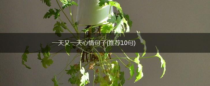 一天又一天心情句子(推荐10句),第1张